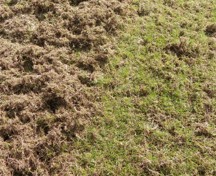 po wertykulacji_1.jpg